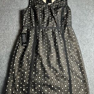 The Limited Black and Cream Textured Dress